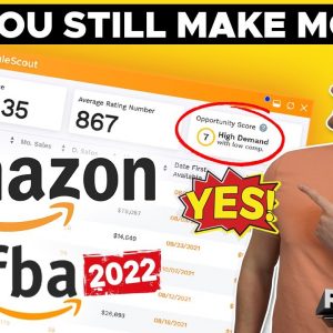 Can You Still Make Money With Amazon FBA in 2022?