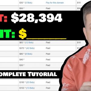 I Spent $28,394 On Domain Names And Earned... (take #2)