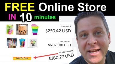 FREE Online Store (NO SHOPIFY) + Tik Tok + Wierd Niche = $689,412 /YEAR?