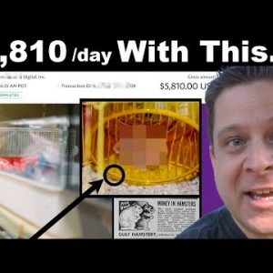 How To Make One Million Dollars Online ($5,810 / Day Niche Exposed!)