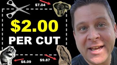 Make Money Cutting Stuff Out - $2 Per Cut?