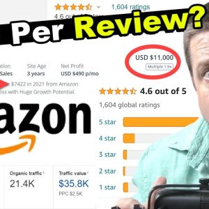 $709 Per Review? The Truth About Amazon Affiliate Review Sites...