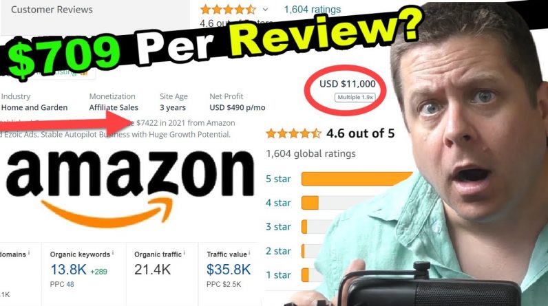 $709 Per Review? The Truth About Amazon Affiliate Review Sites...