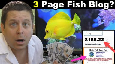 $188.22 Every Day With A 3 Page Fish Website?