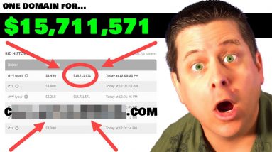 How To Buy And Sell Domain Names For Profit [My $15M Auction Domain Story]