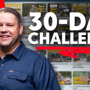 Building a Digital Brand – My 30-Day Publishing Challenge